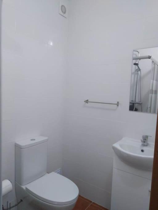 Casa Dos Noveloes Villa Ponta Delgada Dış mekan fotoğraf